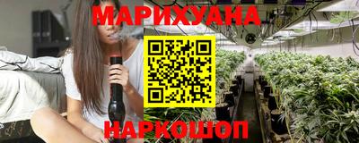 сатива Бузулук