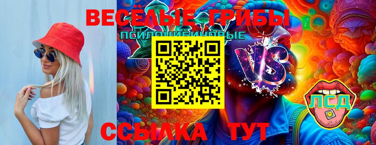 Псилоцибиновые грибы Cubensis  Галлюциногенные грибы мицелий  Тихорецк  Вход с VPN 